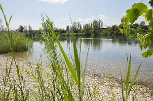 Strombucht Kiesufer