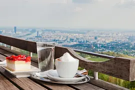 Veduta su Vienna da una terrazza