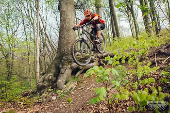 Spaß beim Biken im Wienerwald