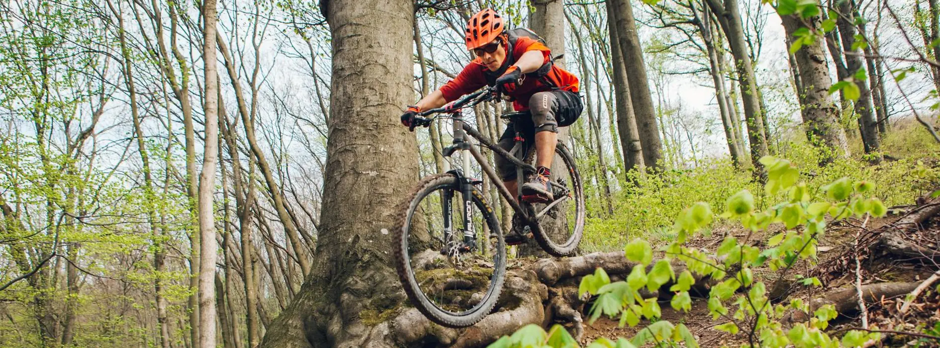 Spaß beim Biken im Wienerwald