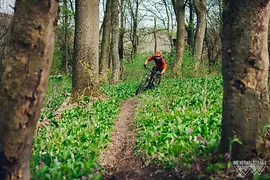 Mountainbiker im Wienerwald 