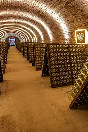 Kellergewölbe mit Flaschenlagerbasement vault with lots of bottles