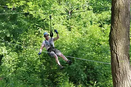 Flying fox through the trees 