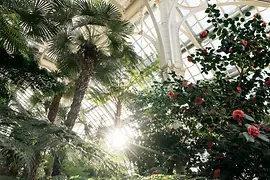 Palmenhaus Wien