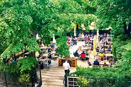 View of the garden at Café Diglas