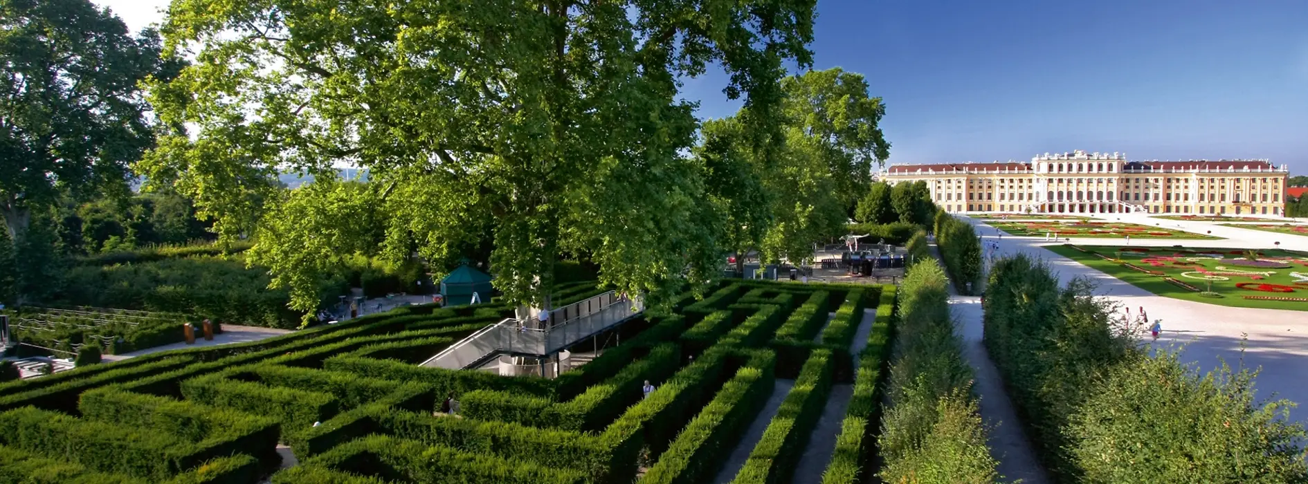 Maze in front of the Schönbrunn Palace