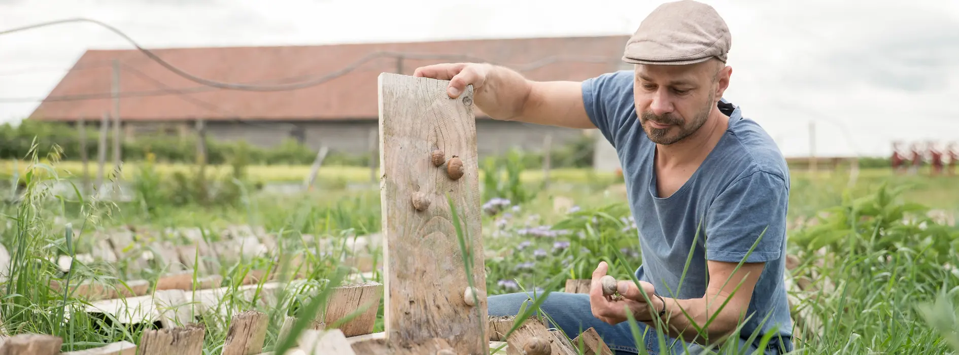 Snail breeder Andreas Gugumuck