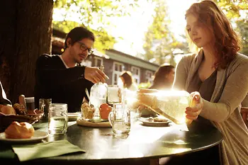 People drinking wine in the garden of a Viennese Heurigen