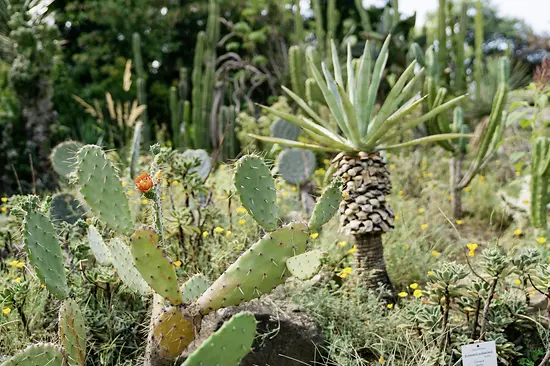 Botanischer Garten