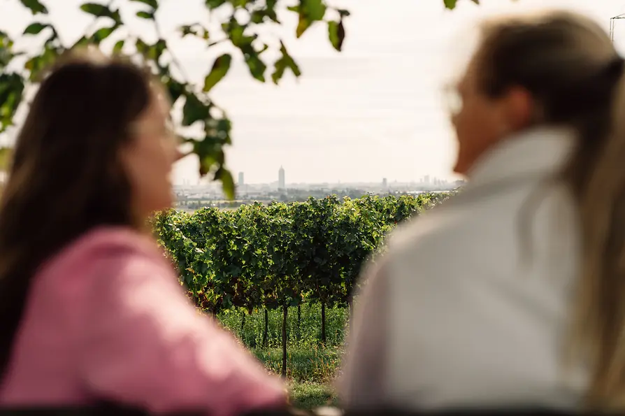 Hiking, vineyard, two women 