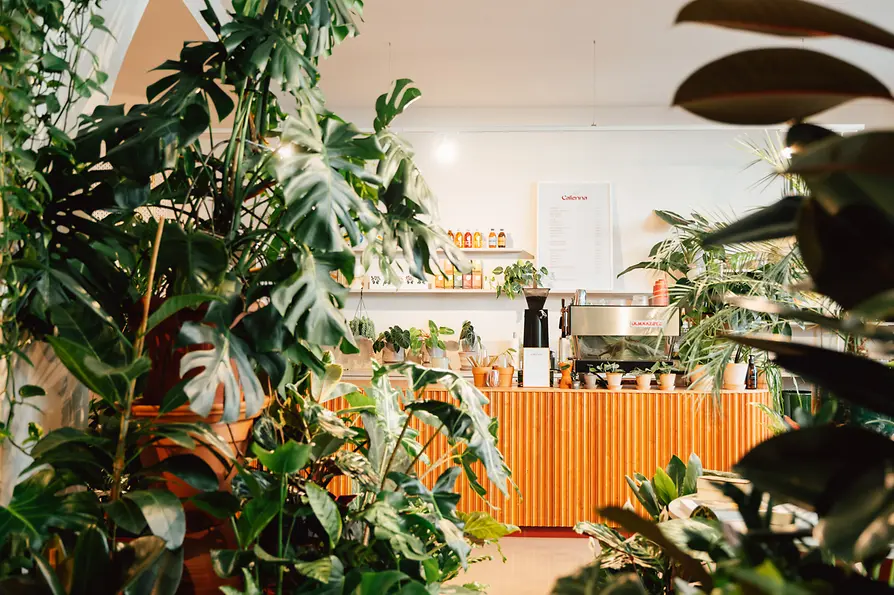 Calienna, Café, interior view