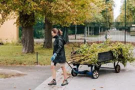 Schönbrunn Zoo, Zookeeper Lea Hagler brings fresh bamboo for the giant pandas.