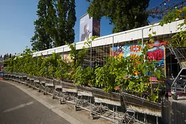 Danube Canal: Flex, Urban Gardening, view of Ringturm wrapping