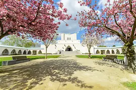 中央墓地 火葬場と満開のサクラの花