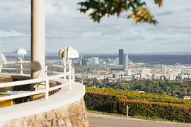 Blick auf Wien