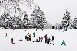 Sledding in Vienna