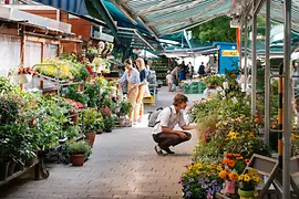 Kutschkermarkt