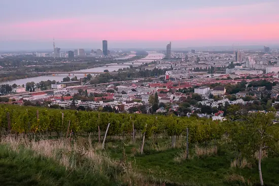 View of Vienna from the vineyards, sunset in the background