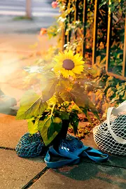 Flower pot in front of a fence