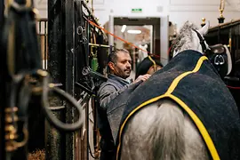 Spanish Riding School