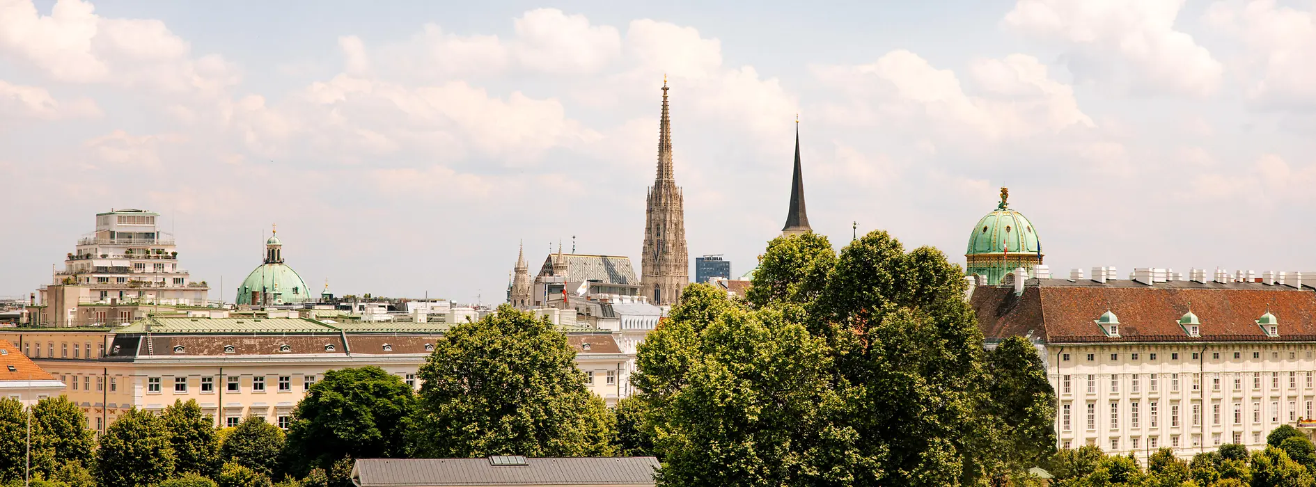 Vista de Viena y la catedral de San Esteban desde la terraza del Parlamento