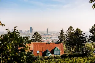 Vue sur Vienne depuis le Nussberg