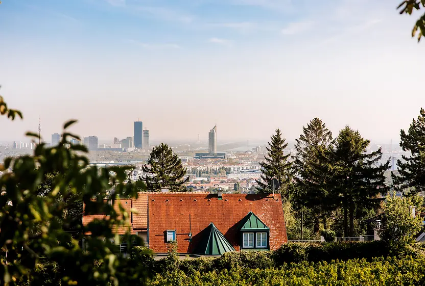 Ausblick vom Nussberg auf Wien