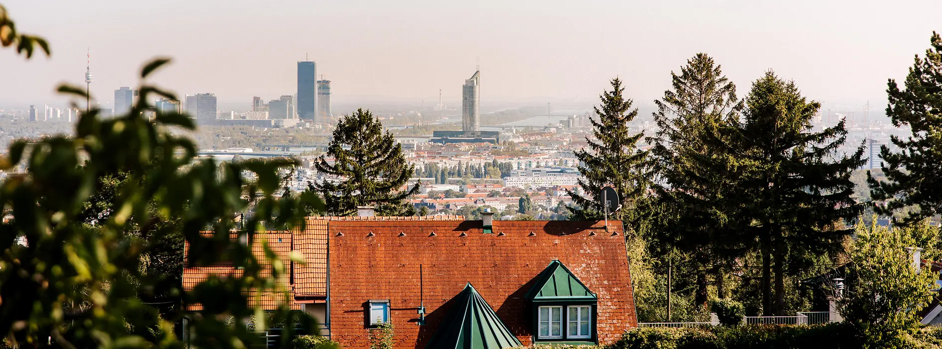 Vista di Vienna dal Nussberg