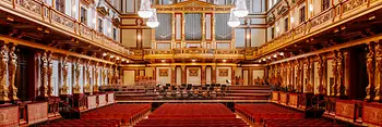 La Sala d'Oro del Musikverein di Vienna, foto a figura intera